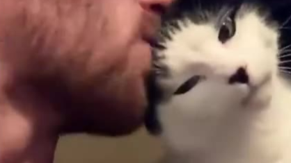 猫粘人得样子不要太可爱